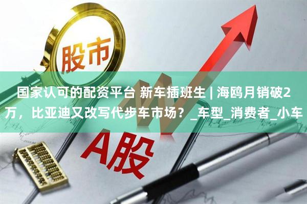 国家认可的配资平台 新车插班生 | 海鸥月销破2万，比亚迪又改写代步车市场？_车型_消费者_小车